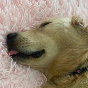 Meet your Posher, April